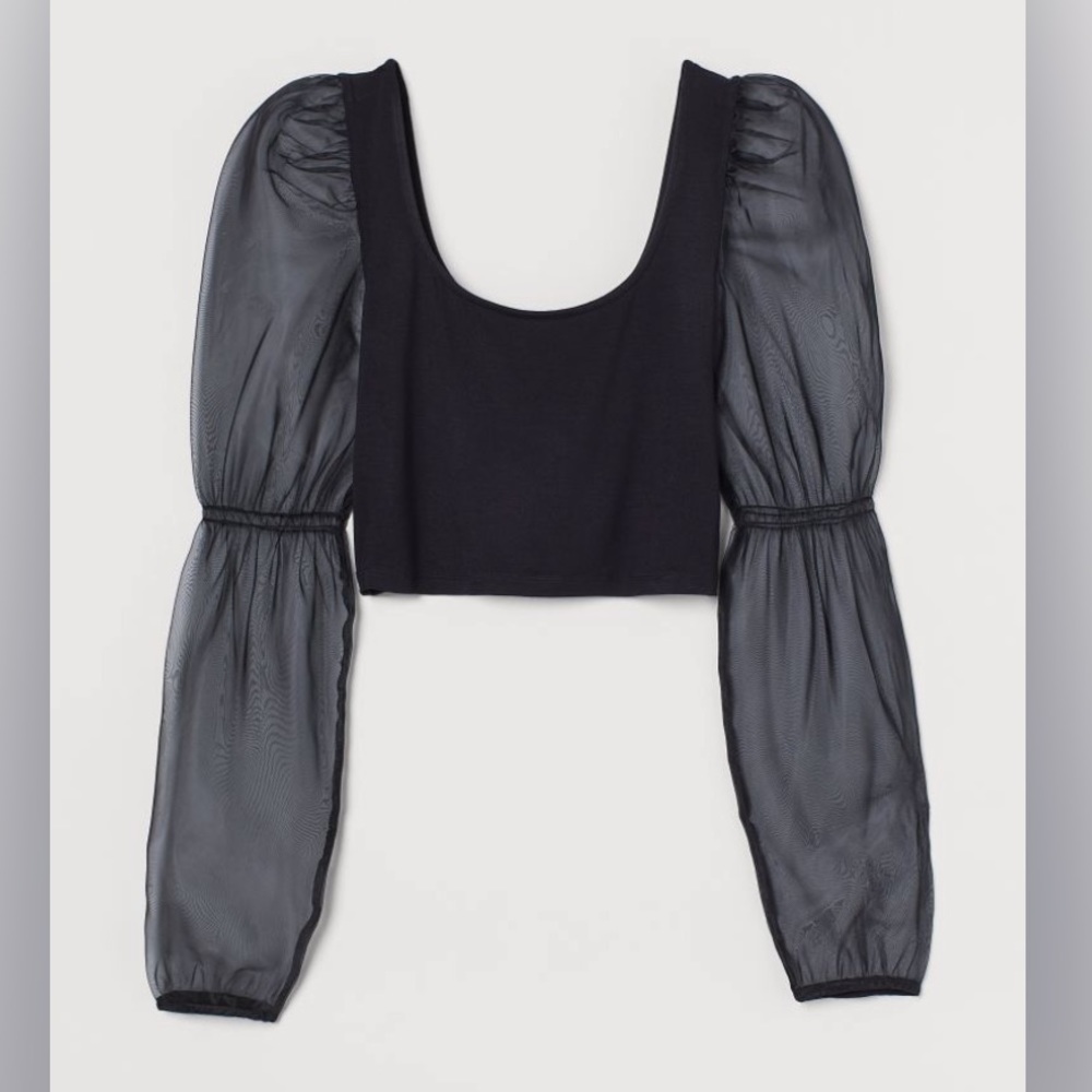 Organza Puff Sleeve Top